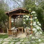 Hotel Pavelin Yeri Altınoluk