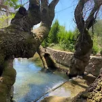 Pavelin Yeri Hotel