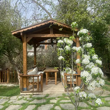 酒店 Pavelin Yeri Altınoluk