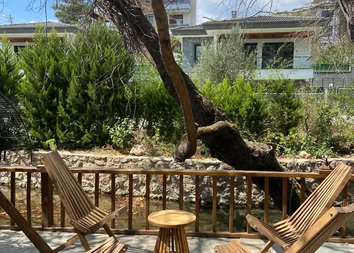 酒店 Pavelin Yeri *