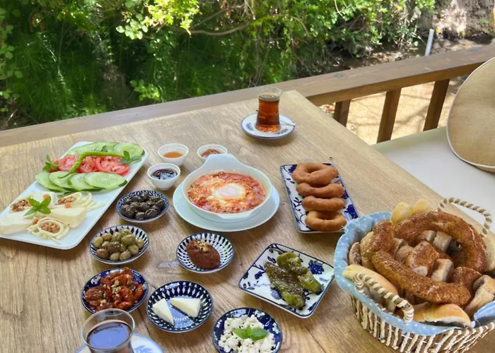 Pavelin Yeri 酒店 *